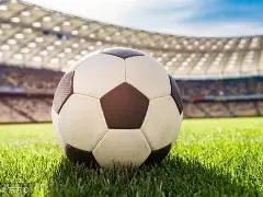 河南体育学,院河南各专,业招生情况,开云体育,开云体育官网,开云体育app,开云体育平台,KAIYUN,SPORTS,kaiyun登录入口