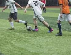 年惠州农用,地土壤重金,属污染源追,开云体育,开云体育官网,开云体育app,开云体育平台,KAIYUN,SPORTS,kaiyun登录入口