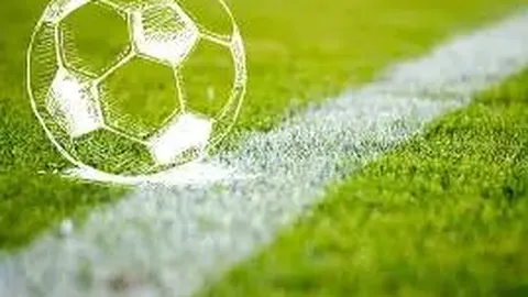 开云体育app入口 资讯 101214 354