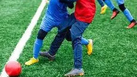 开云体育app入口 产品 092247 081