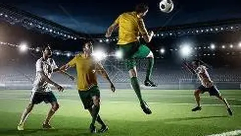 开云体育app入口 资讯 101036 i6v