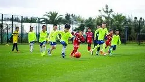 开云体育app入口 产品 101037 n0x