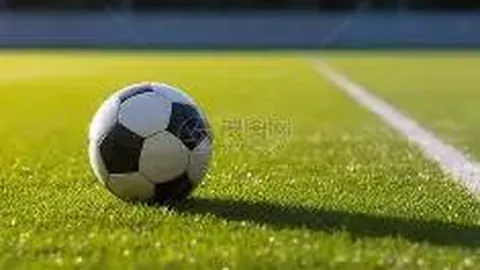 开云体育app入口 产品 090355 164