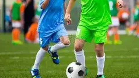 开云体育app入口 产品 090322 qfr