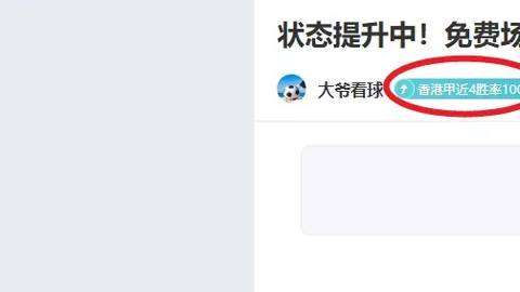 周五001国际赛新西兰VS芬兰：专家质合分析前区十码推荐