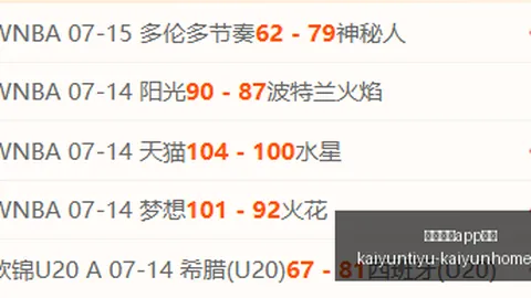 开云体育入口 090814 58